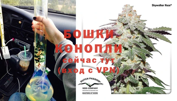 ECSTASY Абаза