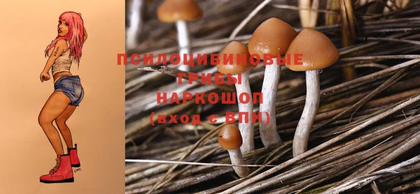 ECSTASY Абаза
