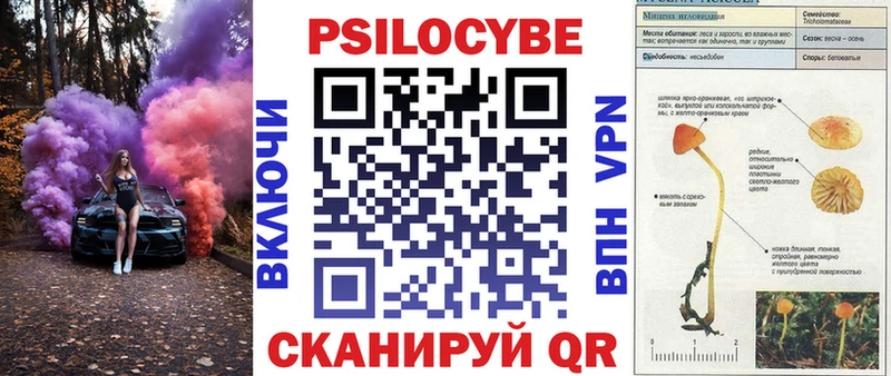 Галлюциногенные грибы Cubensis  купить наркоту  Тогучин 